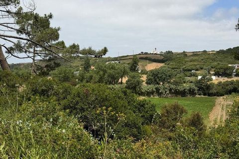 Terra a Mafra, Lisbon, Mafra - € 89.000 | Ref: 942673 - foto 4