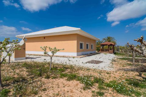 Villa i Pinoso, Alicante, Pinoso - € 595.000 | Ref: FOX-R174 - foto 48