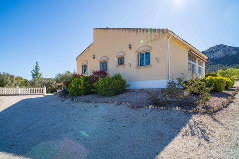 Villa a La Zarza, Murcia, La Zarza - € 395.000 | Ref: FOX-R175 - foto 23