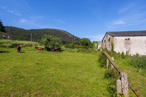 Herregård i Ourol, Lugo, Ourol - € 130 000 | Ref: 3036 - foto 24