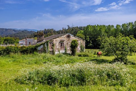 Herregård i Ourol, Lugo, Ourol - € 130 000 | Ref: 3036 - foto 26