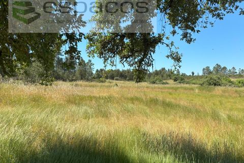 Grond in Castelo Branco, Castelo Branco, Castelo Branco - € 13.000 | Ref: 5551/AC-FA - foto 2