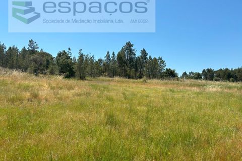 Grond in Castelo Branco, Castelo Branco, Castelo Branco - € 13.000 | Ref: 5551/AC-FA - foto 3