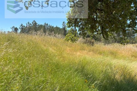 Grond in Castelo Branco, Castelo Branco, Castelo Branco - € 13.000 | Ref: 5551/AC-FA - foto 4