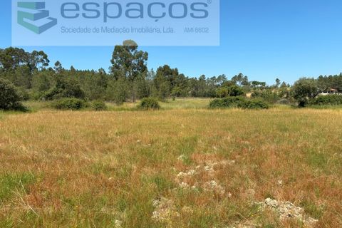 Grond in Castelo Branco, Castelo Branco, Castelo Branco - € 13.000 | Ref: 5551/AC-FA - foto 5