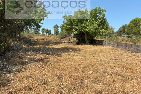 Grond in Castelo Branco, Castelo Branco, Castelo Branco - € 13.000 | Ref: 5551/AC-FA - foto 6