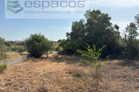 Grond in Castelo Branco, Castelo Branco, Castelo Branco - € 13.000 | Ref: 5551/AC-FA - foto 7