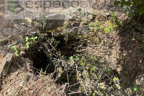 Grond in Castelo Branco, Castelo Branco, Castelo Branco - € 13.000 | Ref: 5551/AC-FA - foto 8