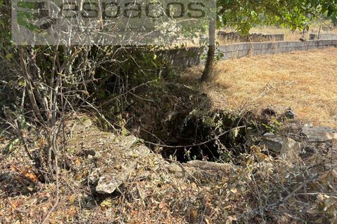 Grond in Castelo Branco, Castelo Branco, Castelo Branco - € 13.000 | Ref: 5551/AC-FA - foto 9