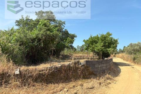 Grond in Castelo Branco, Castelo Branco, Castelo Branco - € 13.000 | Ref: 5551/AC-FA - foto 10
