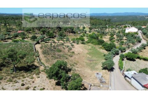 Helårsgrund i Castelo Branco, Castelo Branco, Castelo Branco - € 36.000 | Ref: 5550/AC-FA - foto 1
