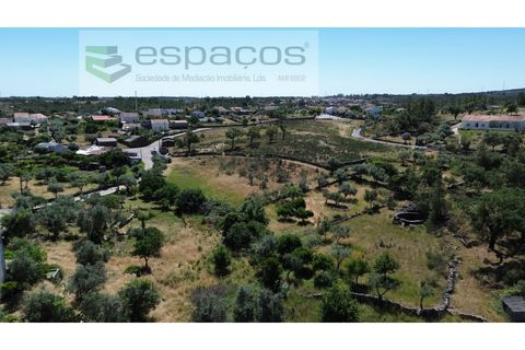 Helårsgrund i Castelo Branco, Castelo Branco, Castelo Branco - € 36.000 | Ref: 5550/AC-FA - foto 3