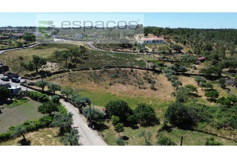 Helårsgrund i Castelo Branco, Castelo Branco, Castelo Branco - € 36.000 | Ref: 5550/AC-FA - foto 4