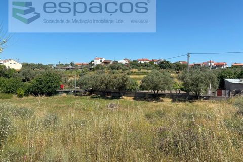 Helårsgrund i Castelo Branco, Castelo Branco, Castelo Branco - € 36.000 | Ref: 5550/AC-FA - foto 5