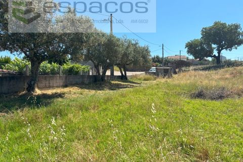 Helårsgrund i Castelo Branco, Castelo Branco, Castelo Branco - € 36.000 | Ref: 5550/AC-FA - foto 6