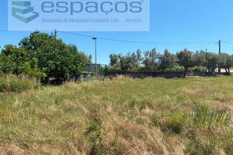 Helårsgrund i Castelo Branco, Castelo Branco, Castelo Branco - € 36.000 | Ref: 5550/AC-FA - foto 7