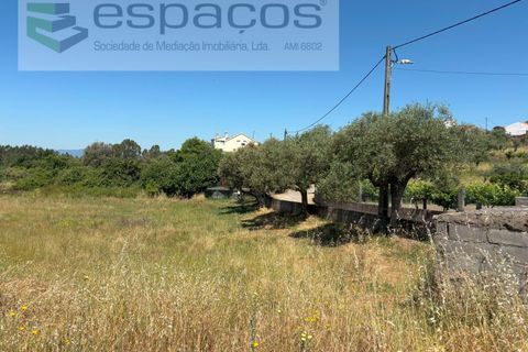 Helårsgrund i Castelo Branco, Castelo Branco, Castelo Branco - € 36.000 | Ref: 5550/AC-FA - foto 8