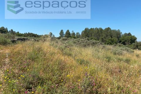 Helårsgrund i Castelo Branco, Castelo Branco, Castelo Branco - € 36.000 | Ref: 5550/AC-FA - foto 10
