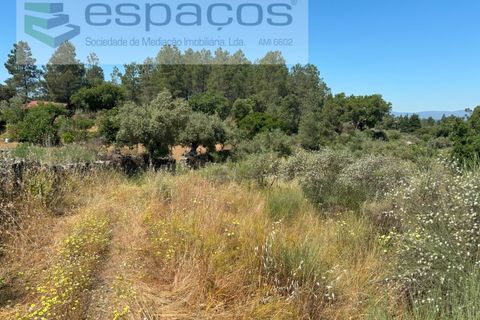Helårsgrund i Castelo Branco, Castelo Branco, Castelo Branco - € 36.000 | Ref: 5550/AC-FA - foto 11