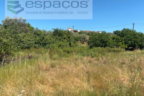 Helårsgrund i Castelo Branco, Castelo Branco, Castelo Branco - € 36.000 | Ref: 5550/AC-FA - foto 14