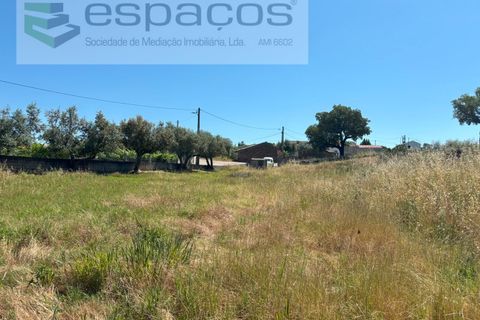 Helårsgrund i Castelo Branco, Castelo Branco, Castelo Branco - € 36.000 | Ref: 5550/AC-FA - foto 15