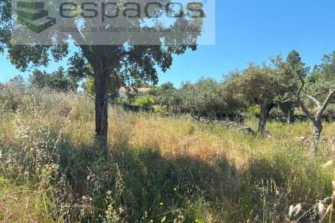 Helårsgrund i Castelo Branco, Castelo Branco, Castelo Branco - € 36.000 | Ref: 5550/AC-FA - foto 16