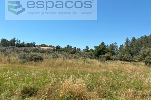 Helårsgrund i Castelo Branco, Castelo Branco, Castelo Branco - € 36.000 | Ref: 5550/AC-FA - foto 18