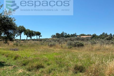 Helårsgrund i Castelo Branco, Castelo Branco, Castelo Branco - € 36.000 | Ref: 5550/AC-FA - foto 19
