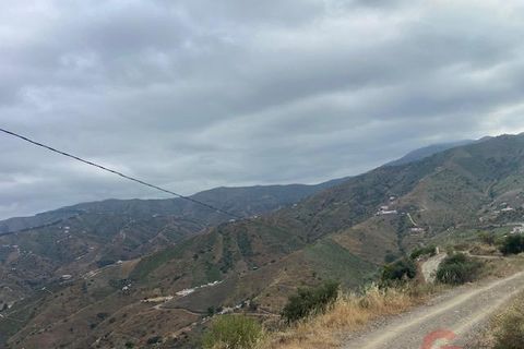 Finca i Cutar, Malaga, Cutar - € 350.000 | Ref: J977 - foto 24