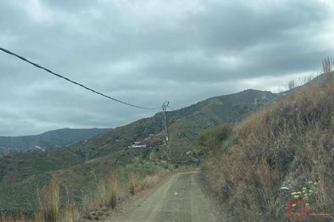Finca i Cutar, Malaga, Cutar - € 350.000 | Ref: J977 - foto 25