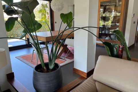 Villa a O Rosal, Pontevedra, O Rosal - € 1.690.000 | Ref: EXP14646/8930 - foto 47