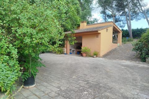 Villa a Ontinyent, Valencia, Ontinyent - € 520.000 | Ref: EXP14654/8930 - foto 31