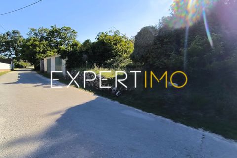 Helårsgrund i Pombal, Leiria, Pombal - € 20.000 | Ref: TRU_2968_JAAD - foto 5