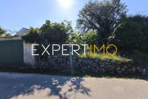 Helårsgrund i Pombal, Leiria, Pombal - € 20.000 | Ref: TRU_2968_JAAD - foto 7