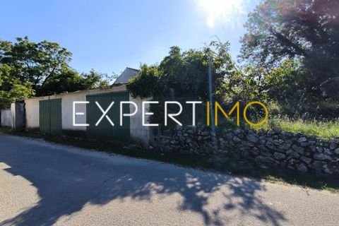 Helårsgrund i Pombal, Leiria, Pombal - € 20.000 | Ref: TRU_2968_JAAD - foto 9