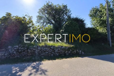 Helårsgrund i Pombal, Leiria, Pombal - € 20.000 | Ref: TRU_2968_JAAD - foto 10