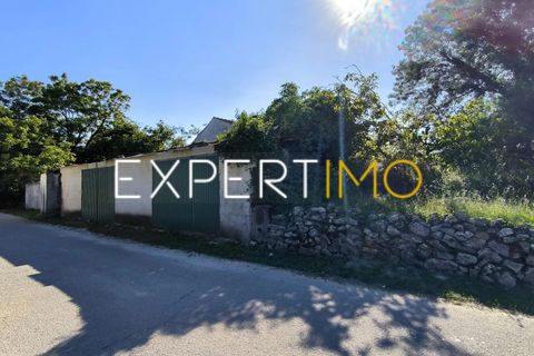 Helårsgrund i Pombal, Leiria, Pombal - € 20.000 | Ref: TRU_2968_JAAD - foto 11