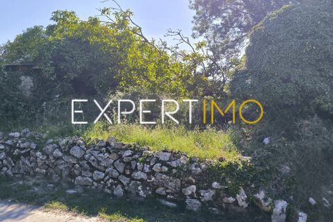 Helårsgrund i Pombal, Leiria, Pombal - € 20.000 | Ref: TRU_2968_JAAD - foto 13