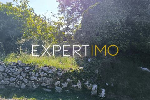 Helårsgrund i Pombal, Leiria, Pombal - € 20.000 | Ref: TRU_2968_JAAD - foto 14