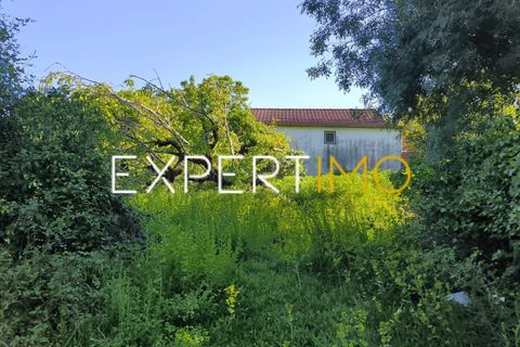 Helårsgrund i Pombal, Leiria, Pombal - € 20.000 | Ref: TRU_2968_JAAD - foto 15