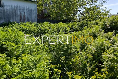 Helårsgrund i Pombal, Leiria, Pombal - € 20.000 | Ref: TRU_2968_JAAD - foto 19