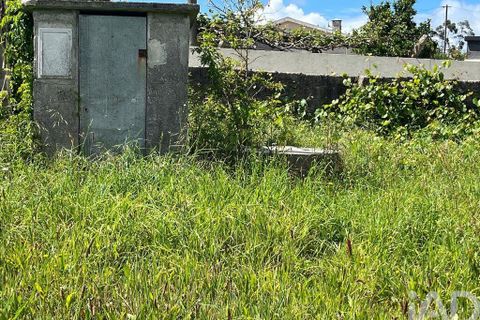 Terra a Esposende, Braga, Esposende - € 110.000 | Ref: 907664 - foto 10