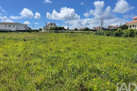 Terra a Esposende, Braga, Esposende - € 110.000 | Ref: 907664 - foto 12