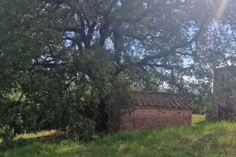 Landejendom i Trequanda, Siena, Trequanda - € 430.000 | Ref: CL118 - foto 25