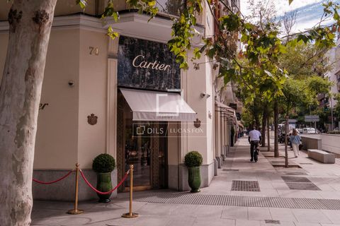 Leilighet i Madrid, Madrid, Madrid - € 1 990 000 | Ref: MAD70377 - foto 12