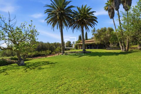 Landejendom i Manacor, Mallorca, Manacor - € 2.800.000 | Ref: MAL70371 - foto 17