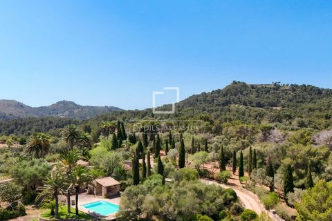 Landejendom i Manacor, Mallorca, Manacor - € 2.800.000 | Ref: MAL70371 - foto 29