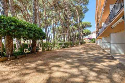 Lejlighed i Calonge, Gerona, Calonge - € 235.000 | Ref: PDA70318 - foto 26