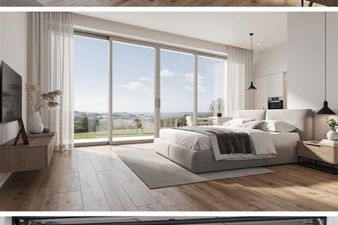 Terra a Vagos, Aveiro, Vagos - € 145.000 | Ref: 80/2026 - foto 7