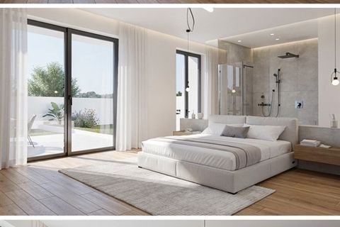 Terra a Vagos, Aveiro, Vagos - € 145.000 | Ref: 80/2026 - foto 10